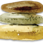 rocks